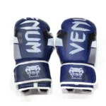 Venum Boxing training Gloves