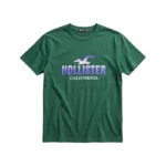 Hollister California Men's Short Sleeve T-Shirt - Green / Purple